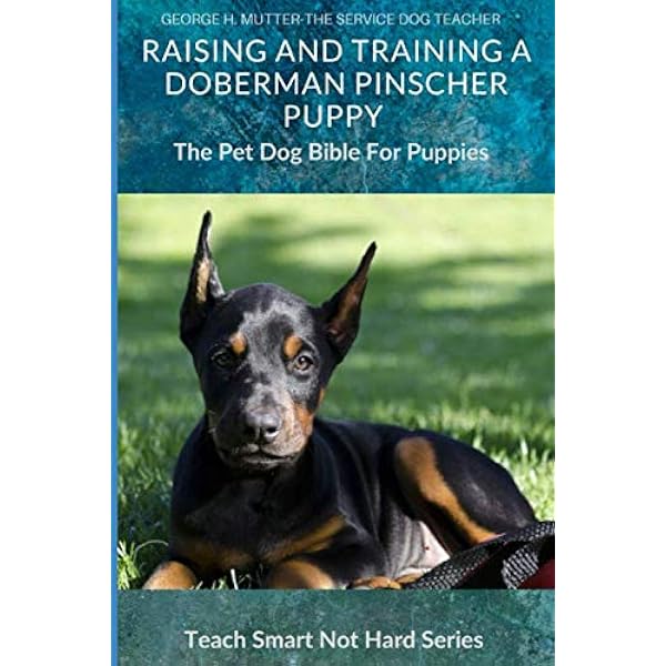 The Complete Guide to Doberman Pinschers: Preparing for, Raising